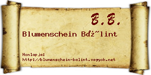 Blumenschein Bálint névjegykártya